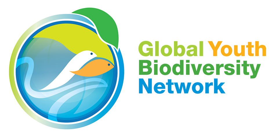 Global Youth Diversity