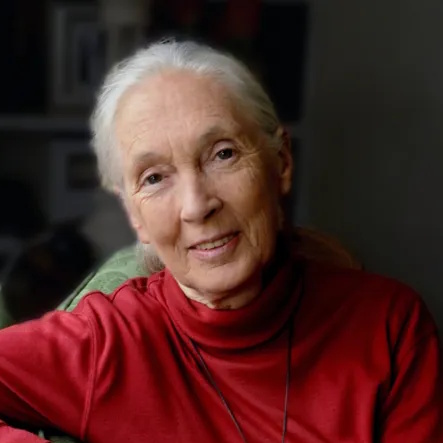 Picture of Jane GOODALL